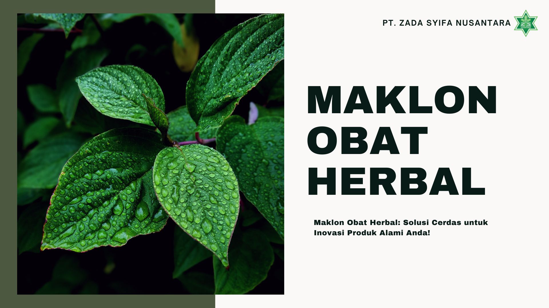 Maklon Obat Herbal