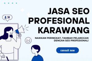 Jasa Seo Profesional Karawang